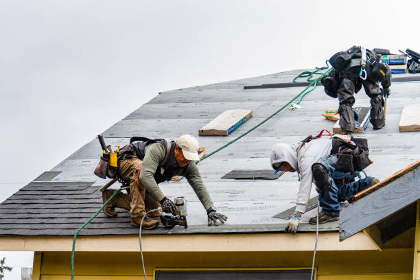 Professional Gutter Installation technician working in Sloan, IA